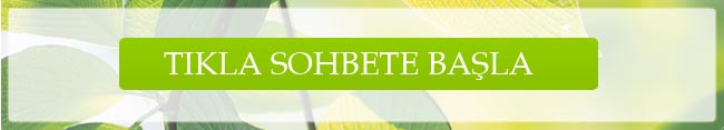 sohbet
